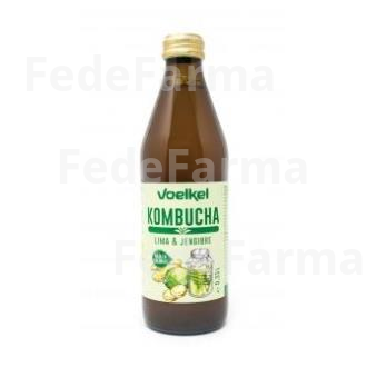 KOMBUCHA LIMA Y JENGIBRE 330ML. BIO VOELKEL