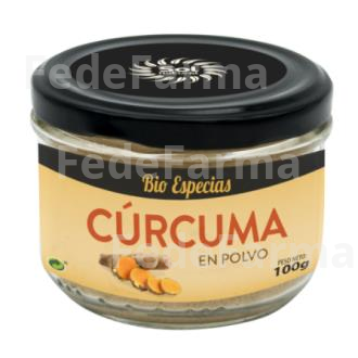 CURCUMA EN POLVO 100GR. BIO SOLNATURAL