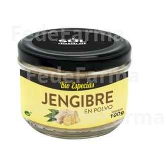 JENGIBRE EN POLVO 100GR. BIO SOLNATURAL