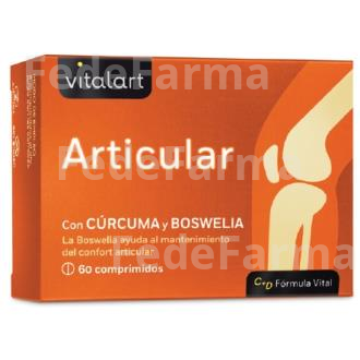 VITALART ARTICULAR 60COMP. VITALART