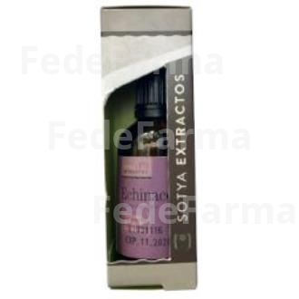 EXTRACTO ECHINACEA 50ML. SOTYA