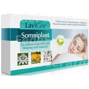 SOMNIPLANT 40CAP. LAVIGOR