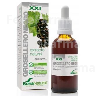 EXT. GROSELLERO NEGRO XXI 50ML. S/AL SORIA NATURAL