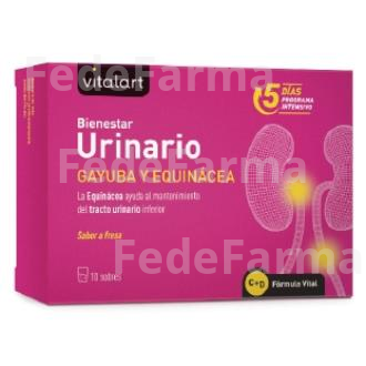 VITALART BIENESTAR URINARIO 10SBRS. VITALART