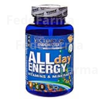 VICTORY ENDURANCE ALL DAY ENERGY 90CAP. WEIDER