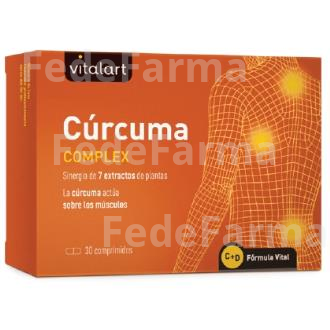 VITALART CURCUMA COMPLEX 30COMP. VITALART