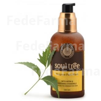 GEL LIMPIADOR FACIAL NUTGLASS Y NEEM 120ML. SOULTREE