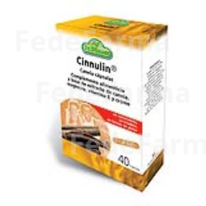 CINNULIN 40CAP. DR.DUNNER SALUS