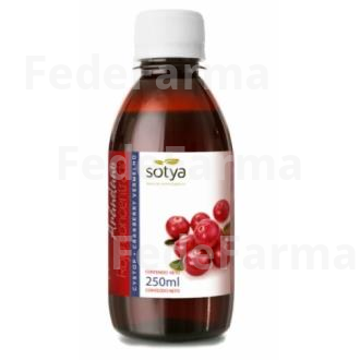 ARANDANO ROJO CONCENTRADO 250ML. SOTYA