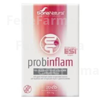 PROBINFLAM 20CAP. SORIA NATURAL
