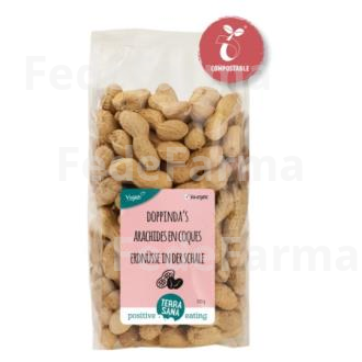 CACAHUETES CON CASCARA 330GR. VEGAN TERRASANA