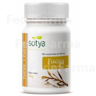 FUCUS 100COMP. SOTYA