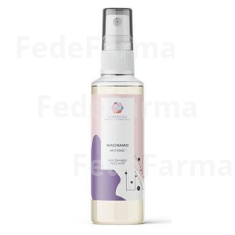 SAL SCHUSSLER NIACINAMIDA MIST FACIAL SPRAY 100ML. SCHUSSLER NATUR COSMEDICS
