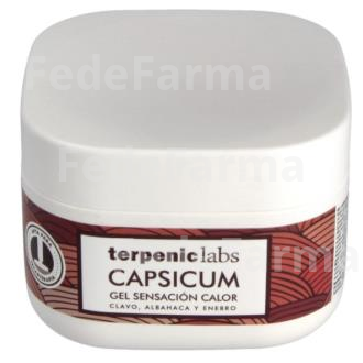 CAPSICUM GEL CALMANTE ACCION CALOR 500ML. TERPENIC EVOPRO