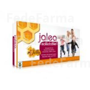 JALEA SALUDABLE 20VIALES TEGOR