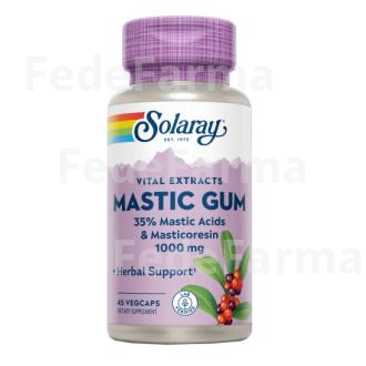MASTIC GUM 500MG. 45CAP.VEG SOLARAY