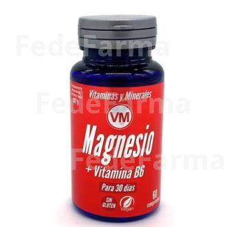 MAGNESIO + VIT. B6 60COMP. YNSADIET