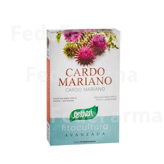 CARDO MARIANO 40CAP. SANTIVERI