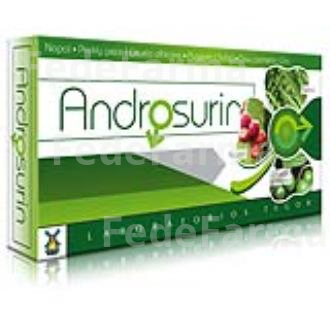 ANDROSURIN (PROSTACAL+) 40 CAPS. TEGOR