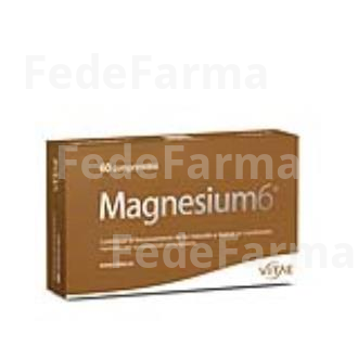 MAGNESIUM-6 60COMP. VITAE