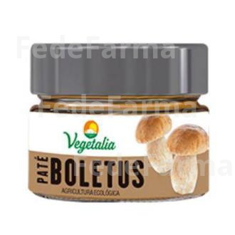 PATE DE BOLETUS PEQUEÑO 110GR. BIO VEGETALIA