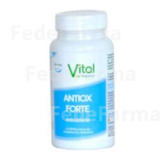 ANTIOX FORTE 60CAP. VITAL BALLANCE