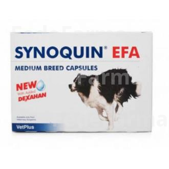 VETPLUS VET SYNOQUIN RAZAS MEDIANAS 10-25 KG 120 CAPS VET