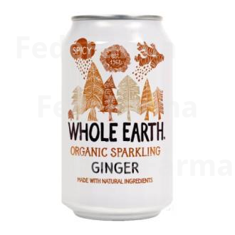 REFRESCO DE JENGIBRE 300ML BIO S/A WHOLE EARTH
