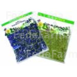 DIENTE DE LEON 40GR.PLANTA FITOSOL YNSADIET