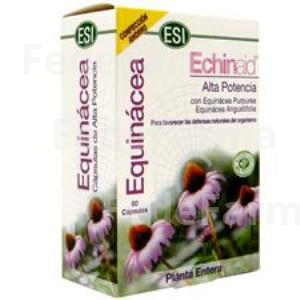 ECHINAID 60CAP. TREPATDIET-ESI