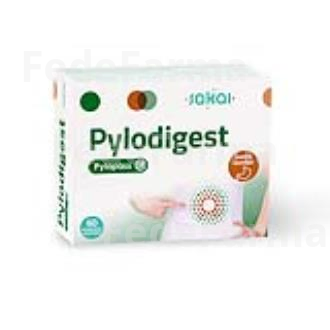 PYLODIGEST PYLOPASS 60COMP.MAST. SAKAI
