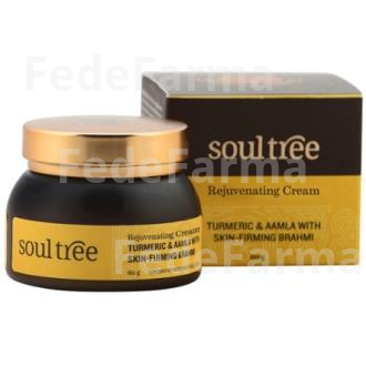 CREMA FACIAL REGENERADORA CURCUMA AMLA BHRAMI 60GR SOULTREE