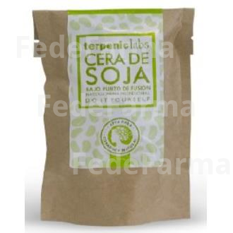 CERA DE SOJA B.P.F. 500ML. TERPENIC EVO